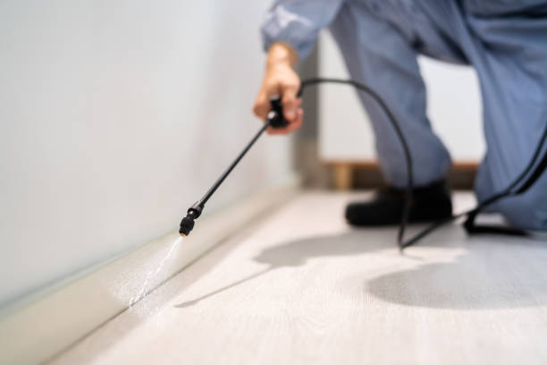 Professional exterminator conducting IPM assessment in Layhill