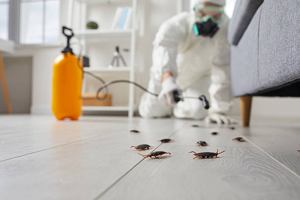Commercial Kitchen Cockroach Control in Layhill